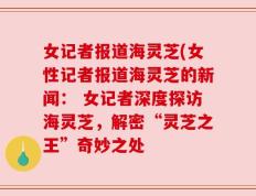 女记者报道海灵芝(女性记者报道海灵芝的新闻： 女记者深度探访海灵芝，解密“灵芝之王”奇妙之处