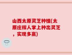山西太原灵芝种植(太原庄稼人掌上种出灵芝，实现多赢)