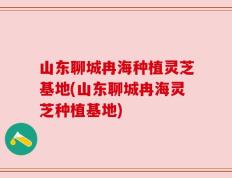 山东聊城冉海种植灵芝基地(山东聊城冉海灵芝种植基地)