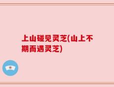 上山碰见灵芝(山上不期而遇灵芝)