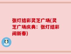 张灯结彩灵芝广场(灵芝广场庆典：张灯结彩闹新春)