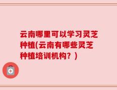 云南哪里可以学习灵芝种植(云南有哪些灵芝种植培训机构？)