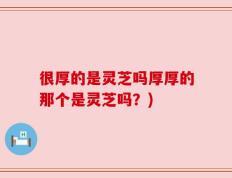 很厚的是灵芝吗厚厚的那个是灵芝吗？)