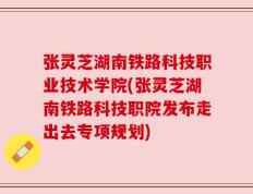 张灵芝湖南铁路科技职业技术学院(张灵芝湖南铁路科技职院发布走出去专项规划)