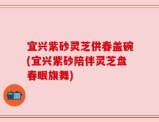 宜兴紫砂灵芝供春盖碗(宜兴紫砂陪伴灵芝盘春眠旗舞)