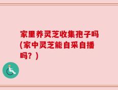 家里养灵芝收集孢子吗(家中灵芝能自采自播吗？)