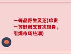 一等品野生灵芝(珍贵一等野灵芝首次现身，引爆市场热潮)