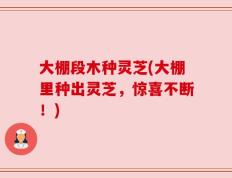 大棚段木种灵芝(大棚里种出灵芝，惊喜不断！)