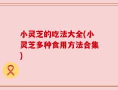 小灵芝的吃法大全(小灵芝多种食用方法合集)