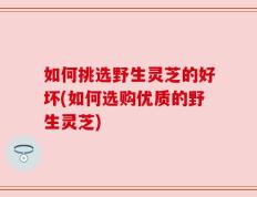 如何挑选野生灵芝的好坏(如何选购优质的野生灵芝)
