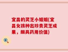 宜昌的灵芝小姐姐(宜昌女孩种出珍贵灵芝成果，颇具药用价值)