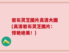 岩石灵芝图片高清大图(高清岩石灵芝图片：惊艳绝美！)