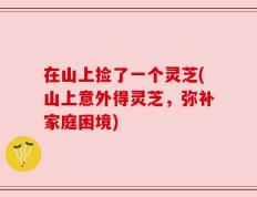 在山上捡了一个灵芝(山上意外得灵芝，弥补家庭困境)