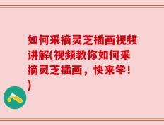 如何采摘灵芝插画视频讲解(视频教你如何采摘灵芝插画，快来学！)