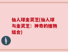仙人球金灵芝(仙人球与金灵芝：神奇的植物组合)