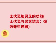 土伏灵加灵芝的功效(土伏灵与灵芝结合：强效养生神器)
