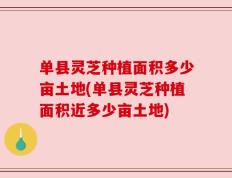 单县灵芝种植面积多少亩土地(单县灵芝种植面积近多少亩土地)