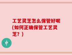 工艺灵芝怎么保管好呢(如何正确保管工艺灵芝？)