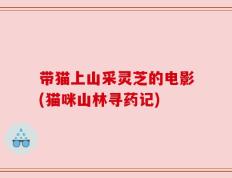 带猫上山采灵芝的电影(猫咪山林寻药记)