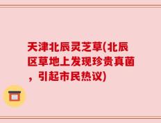 天津北辰灵芝草(北辰区草地上发现珍贵真菌，引起市民热议)