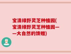 宝清绿野灵芝种植园(宝清绿野灵芝种植园——大自然的馈赠)