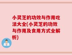 小灵芝的功效与作用吃法大全(小灵芝的功效与作用及食用方式全解析)