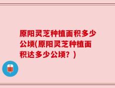 原阳灵芝种植面积多少公顷(原阳灵芝种植面积达多少公顷？)