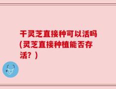 干灵芝直接种可以活吗(灵芝直接种植能否存活？)