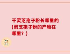 干灵芝孢子粉长哪里的(灵芝孢子粉的产地在哪里？)