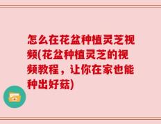 怎么在花盆种植灵芝视频(花盆种植灵芝的视频教程，让你在家也能种出好菇)
