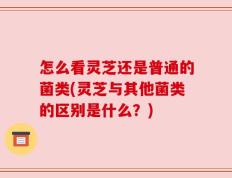 怎么看灵芝还是普通的菌类(灵芝与其他菌类的区别是什么？)
