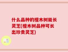 什么品种的檀木树能长灵芝(檀木树品种可长出珍贵灵芝)