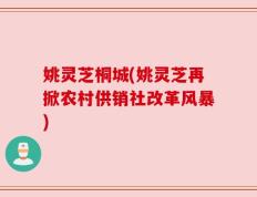 姚灵芝桐城(姚灵芝再掀农村供销社改革风暴)