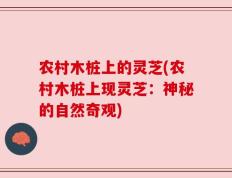 农村木桩上的灵芝(农村木桩上现灵芝：神秘的自然奇观)