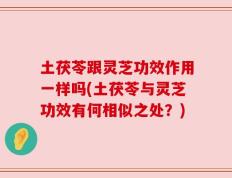 土茯苓跟灵芝功效作用一样吗(土茯苓与灵芝功效有何相似之处？)
