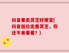 抖音里卖灵芝好便宜(抖音低价出售灵芝，你还不来看看？)