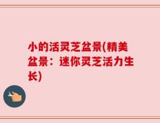 小的活灵芝盆景(精美盆景：迷你灵芝活力生长)