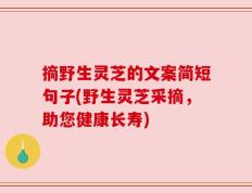 摘野生灵芝的文案简短句子(野生灵芝采摘，助您健康长寿)