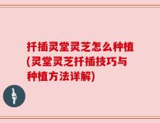 扦插灵堂灵芝怎么种植(灵堂灵芝扦插技巧与种植方法详解)