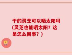 干的灵芝可以晒太阳吗(灵芝也能晒太阳？这是怎么回事？)