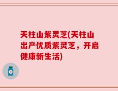 天柱山紫灵芝(天柱山出产优质紫灵芝，开启健康新生活)