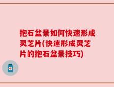 抱石盆景如何快速形成灵芝片(快速形成灵芝片的抱石盆景技巧)