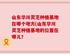 山东华川灵芝种植基地在哪个地方(山东华川灵芝种植基地的位置在哪儿？