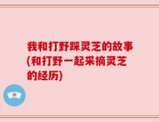 我和打野踩灵芝的故事(和打野一起采摘灵芝的经历)