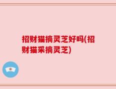 招财猫摘灵芝好吗(招财猫采摘灵芝)