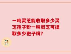 一吨灵芝能收取多少灵芝孢子粉一吨灵芝可提取多少孢子粉？