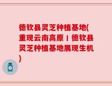 德钦县灵芝种植基地(重现云南高原丨德钦县灵芝种植基地展现生机)