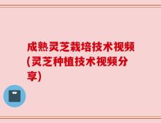 成熟灵芝栽培技术视频(灵芝种植技术视频分享)