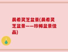 晨希灵芝盆景(晨希灵芝盆景——珍稀盆景佳品)