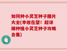 如何种小灵芝种子图片大全(丰收在望！超详细种植小灵芝种子攻略合集)